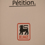 DELHAIZE VERS UNE FRANCHISE 