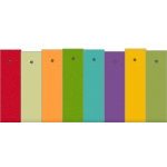 Urgence alimentaire au camp de réfugiés d'AÏDA en Palestine